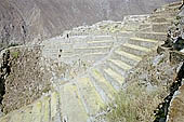 Ollantaytambo, the archeological complex, terraces